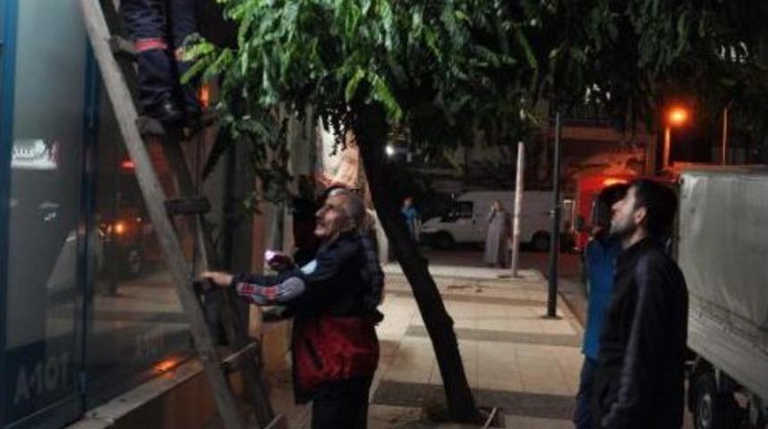 Yavru Kedi Sıkıştığı Yerden 5 Saat Sonra Kurtarıldı