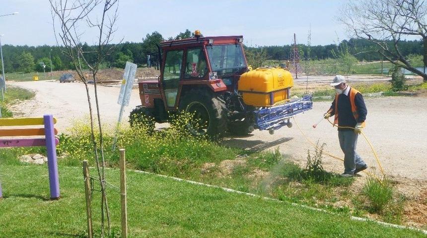 G&ouml;lpark Mesire Alanında Yabani Otla M&uuml;cadele &Ccedil;alışması Başlattı