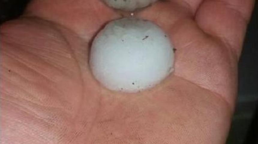 Erzincan'da Ceviz B&uuml;y&uuml;kl&uuml;ğ&uuml;nde Dolu Yağdı