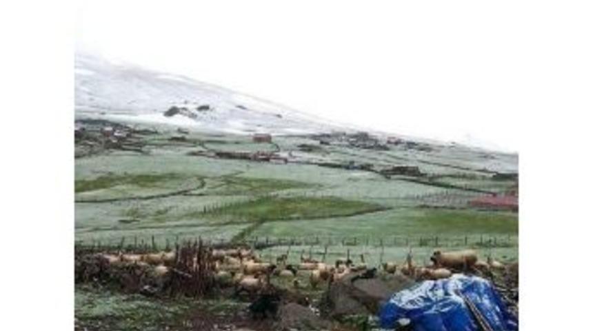 Ordu'nun Aybastı İl&ccedil;esi'nde Kar S&uuml;rprizi