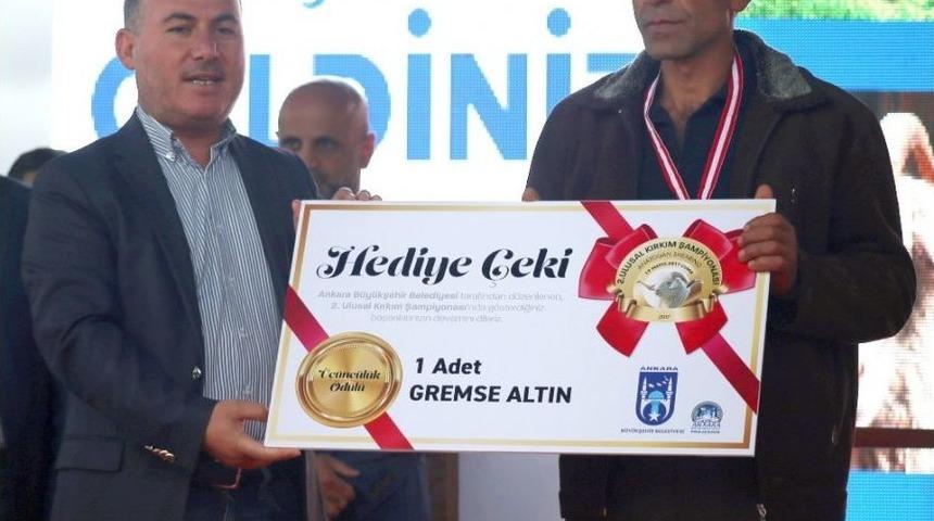 En İyi Kırkımcılar Belli Oldu