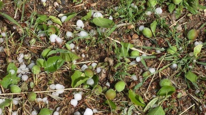 Malatya&rsquo;da Dolu Yağışı