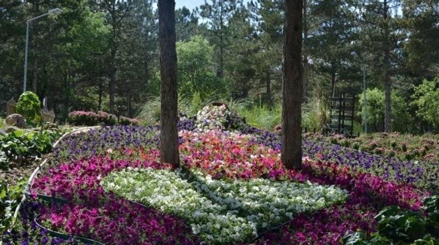Gediz Belediyesinden Annelere &Ouml;zel &Ccedil;i&ccedil;ek Bah&ccedil;esi
