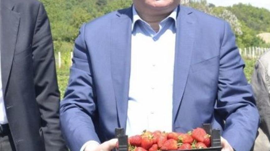 &Ccedil;aturoğlu, &Ccedil;ilek Bah&ccedil;esini Gezdi