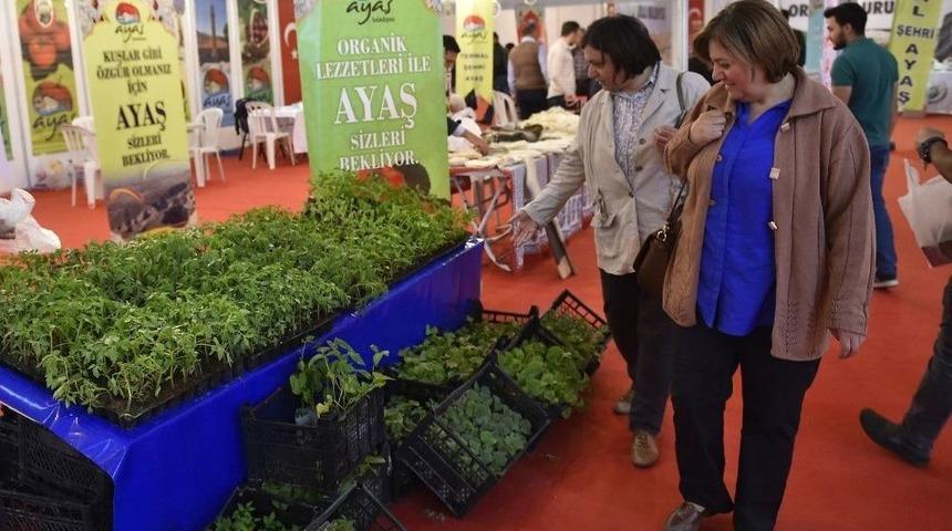 Başkent’te "anadolu Çoban Fuarı" Gerçekleştirildi