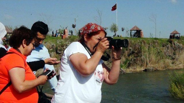 Balıkların Dansına Yoğun İlgi