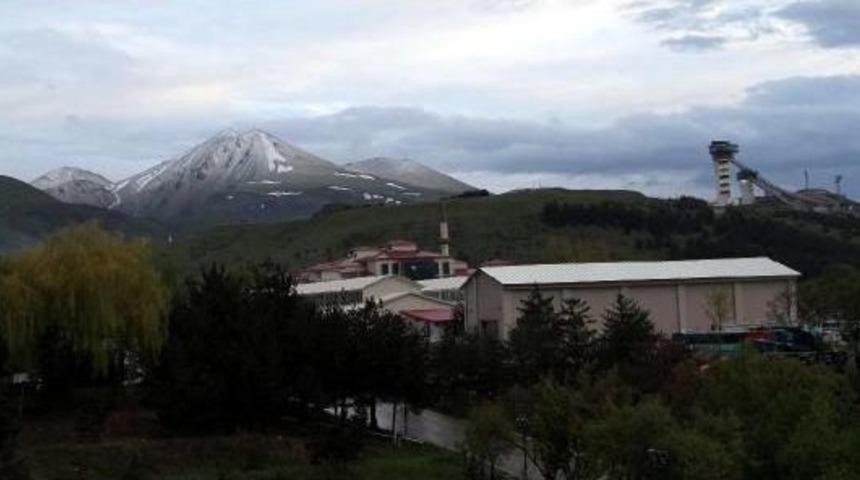 Paland&ouml;ken Beyaza B&uuml;r&uuml;nd&uuml;