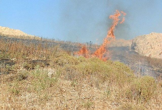 Foça’da Makilik Alanda Yangın