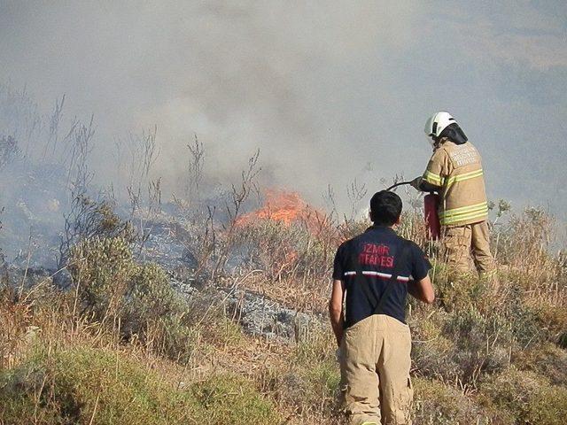 Foça’da Makilik Alanda Yangın