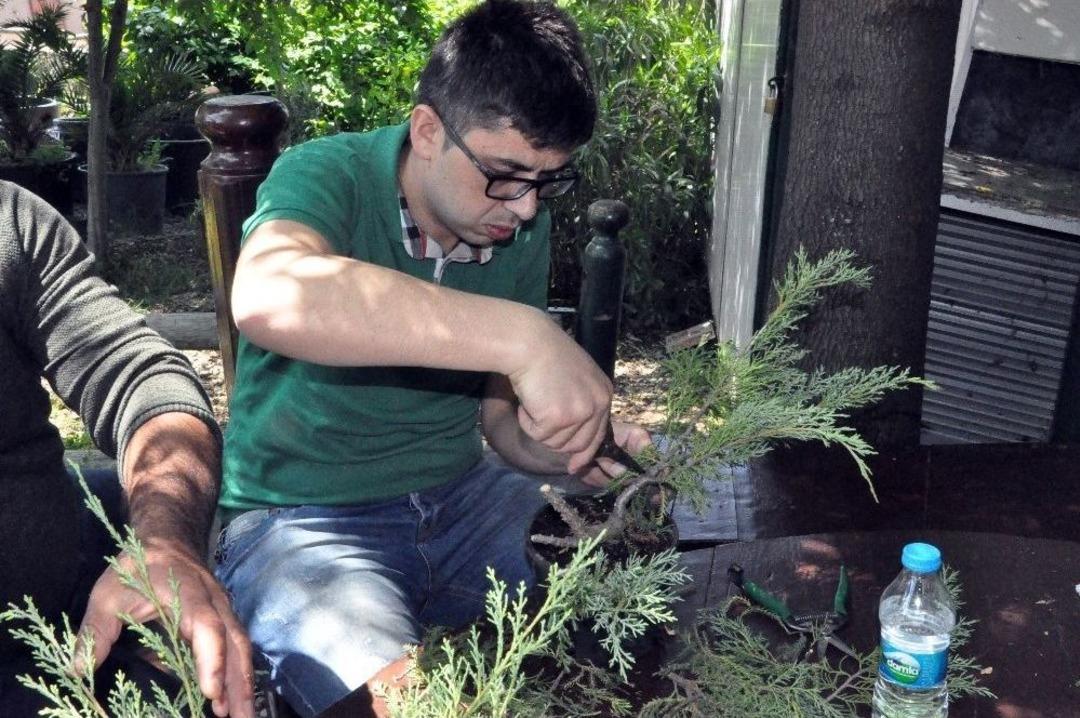(&ouml;zel Haber) Bonsai Sanatı İle Ağa&ccedil;lara Şekil Verdiler