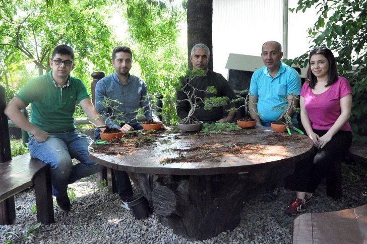 (özel Haber) Bonsai Sanatı İle Ağaçlara Şekil Verdiler G1