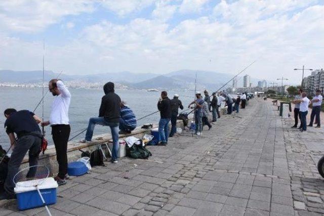 Körfez Olta Balıkçısının Yüzünü Güldürüyor