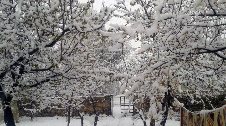 Van&rsquo;da Kar Yağışı