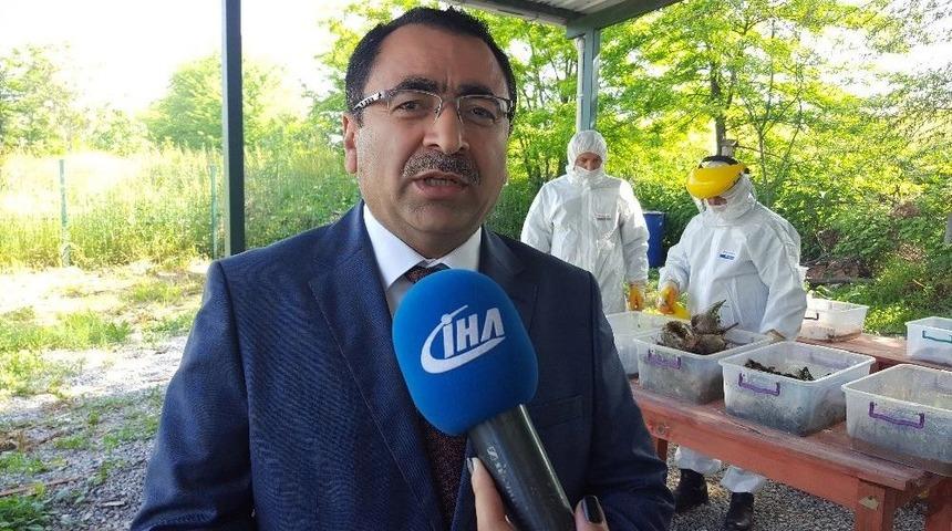 (&ouml;zel Haber) Ormanlarda Biyolojik M&uuml;cadele Devam Ediyor