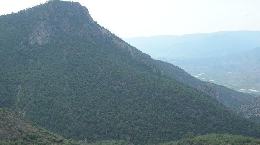 Karadeniz Değil Sarıcakaya