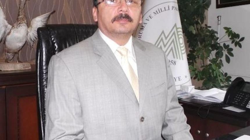 Karadeniz&rsquo;De Fotokapanlar Ter&ouml;ristlerin Kabusu Olacak