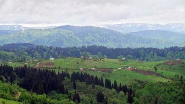 Karadeniz’De Fotokapanlar Teröristlerin Kabusu Olacak