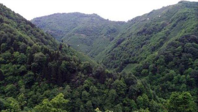 Karadeniz’De Fotokapanlar Teröristlerin Kabusu Olacak