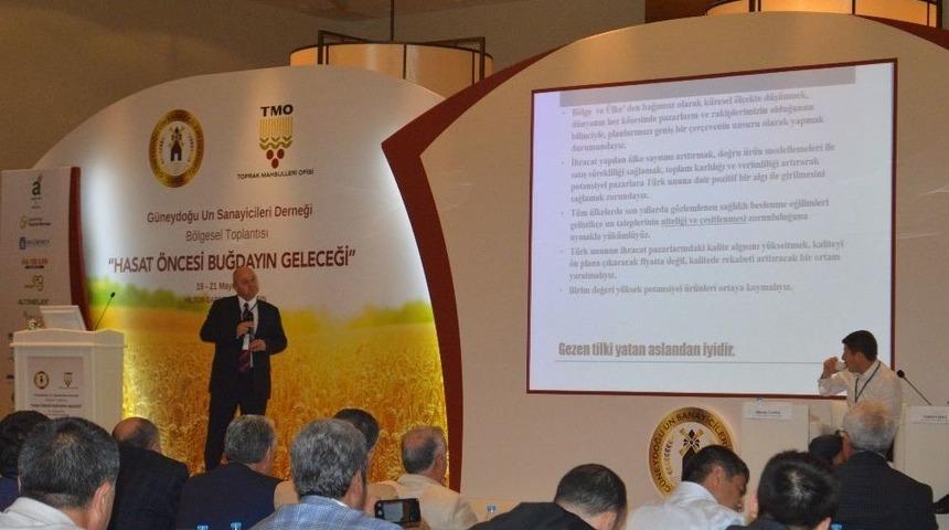 Mardin&rsquo;de &lsquo;hasat &Ouml;ncesi Buğdayın Geleceği&rsquo; Sempozyumu