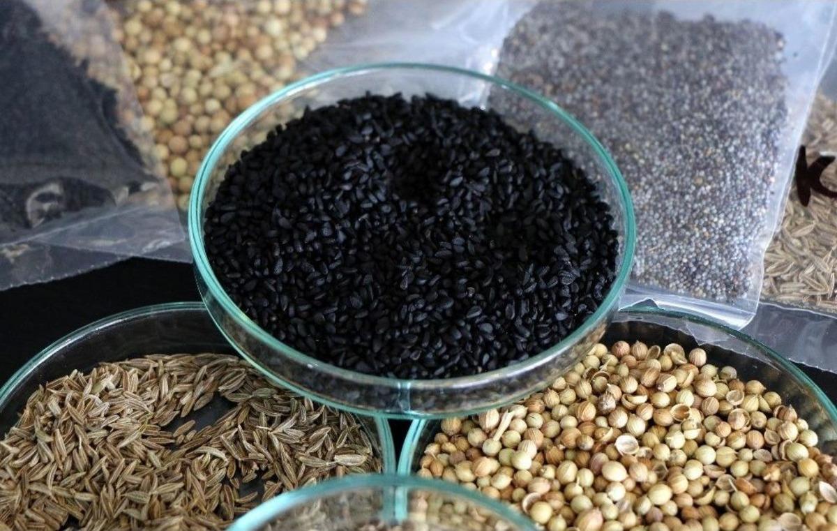 Kazdağları&rsquo;nda Yerli Tohumları G&uuml;&ccedil;lendiriyorlar