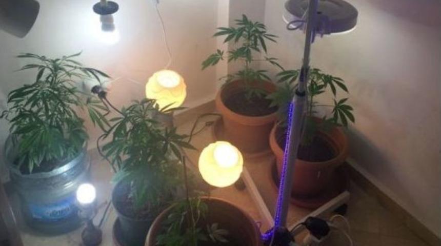 Jandarmayı Şaşkına &Ccedil;eviren Uyuşturucu Baskını