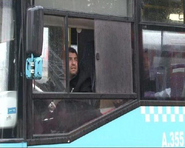 Şişli'de Martı Kurtarma Operasyonu