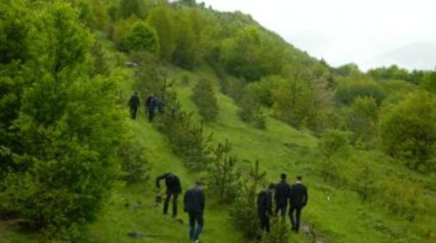 Posof&rsquo;ta Uzlaşma Ormanı Oluşturuldu