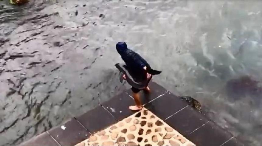 Kayalıklara Sıkışan Yavru Yunusu Balık&ccedil;ılar Kurtardı