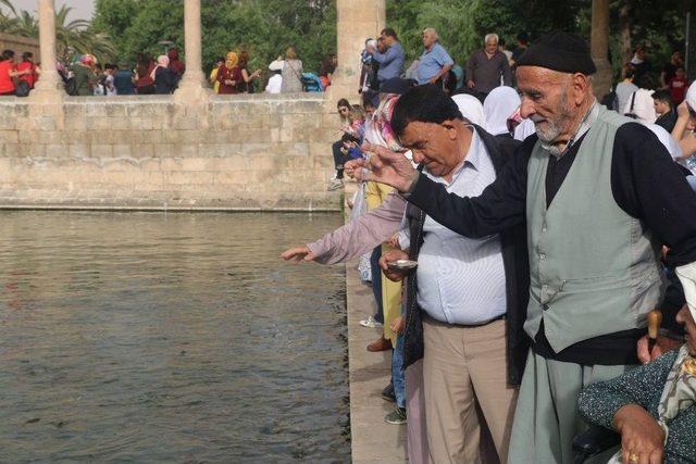 Evde Bakım Yaşlılarına Şanlıurfa Gezisi