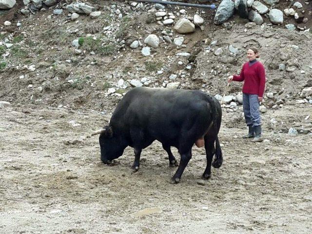 23. Ayder Kültür Sanat Ve Doğa Festivali