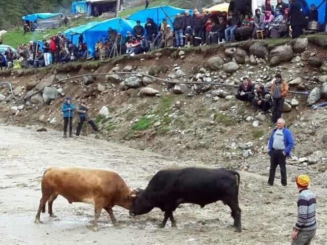 23. Ayder Kültür Sanat Ve Doğa Festivali