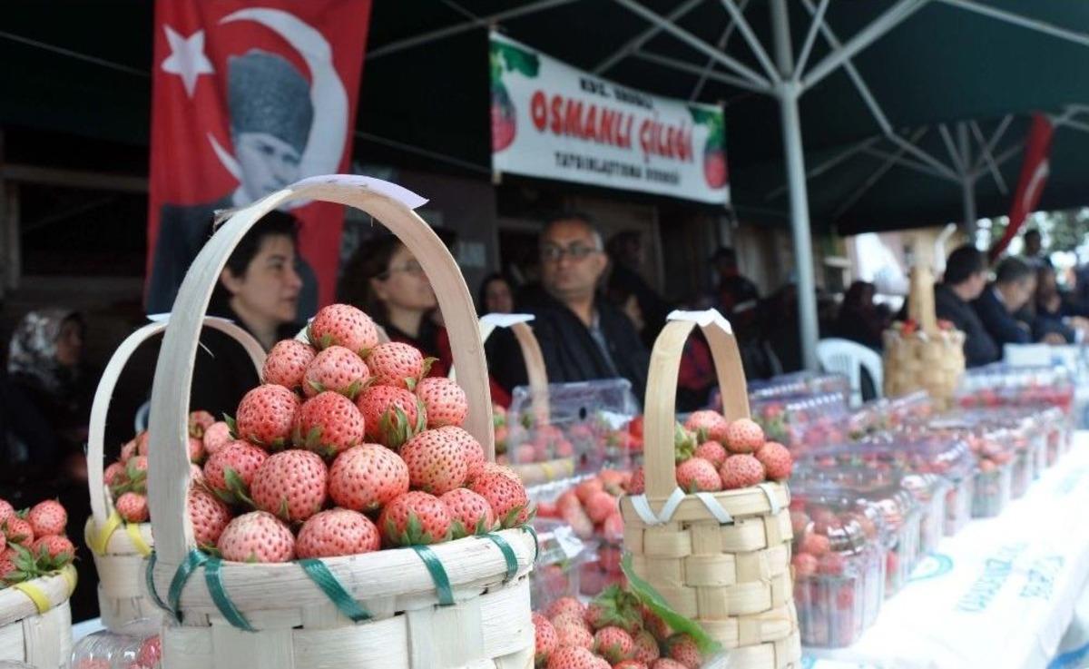En G&uuml;zel Osmanlı &Ccedil;ileği&rsquo;ne &Ouml;d&uuml;l Verildi
