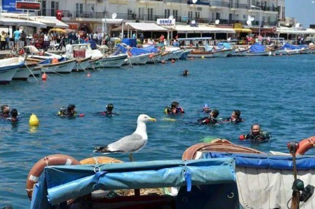 İlköğretim Ve Üniversite Öğrencileri Denizi Temizledi