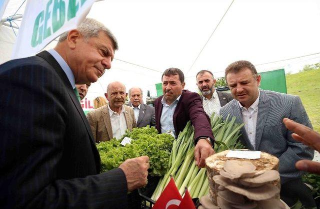 6. &Ccedil;ift&ccedil;i Şenliği Kandıra&rsquo;da D&uuml;zenlendi 1