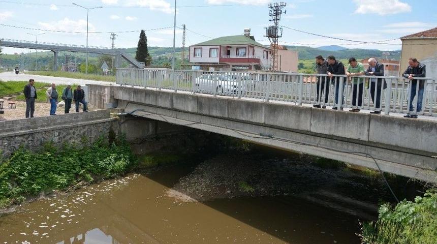 Balık &Ouml;l&uuml;mleri Derek&ouml;y&uuml; Ayağa Kaldırdı