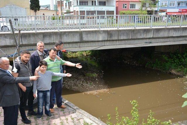 Balık Ölümleri Dereköyü Ayağa Kaldırdı