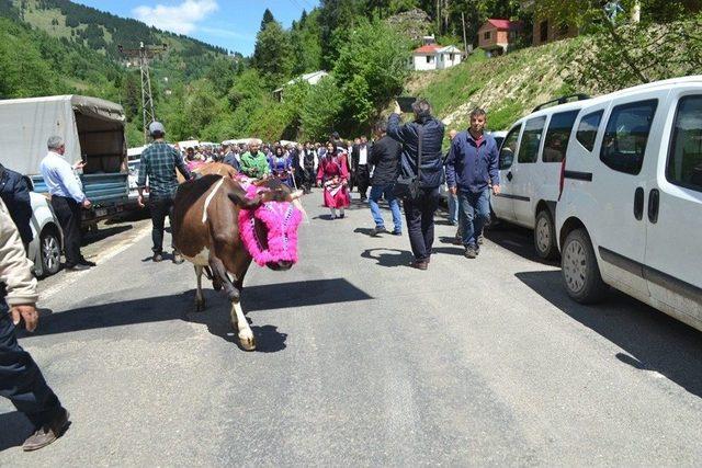 Acısu Hafta Sonu Şenlendi 2