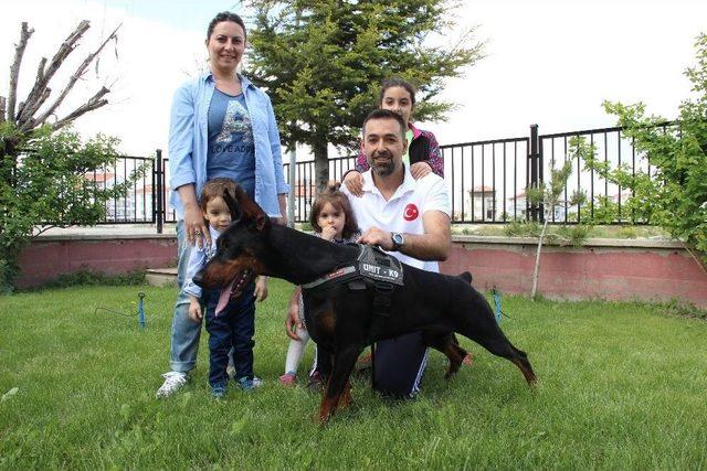 Bianca, Dünya Doberman Şampiyonasına Hazırlanıyor 1