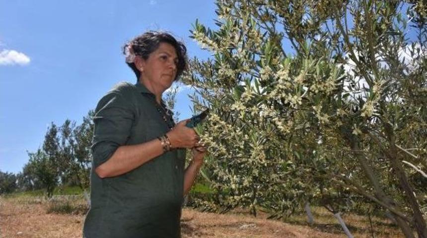 Beyaz Yakalı Y&ouml;netici &Ccedil;ift&ccedil;i Oldu