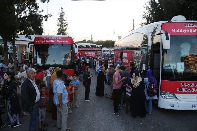 Haliliye’den 250 Öğrenciyi Daha Çanakkale’ye Gönderildi