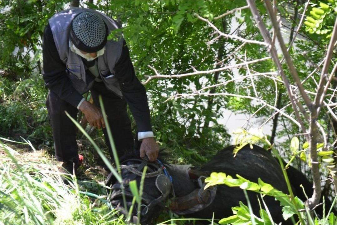 Kağıt Toplayıcısının Ge&ccedil;im Kaynağı Telef Oldu