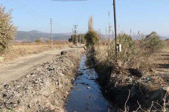 Manisa Derelerinden 240 Bin Ton Çöp Çıkarıldı