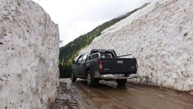 Yaylalarda Karla Kaplı Yollar Açılıyor