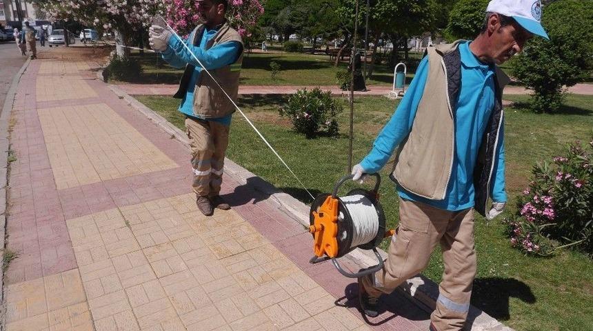 Haliliye&rsquo;de Sinekle Bantlı M&uuml;cadele