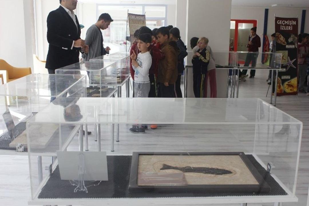 2,4 Milyar Yıllık Fosil D&uuml;nyada İlk Defa &Ccedil;ankırı&rsquo;da Sergileniyor