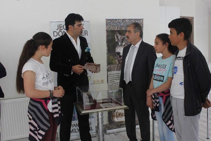 2,4 Milyar Yıllık Fosil Dünyada İlk Defa Çankırı’da Sergileniyor G5