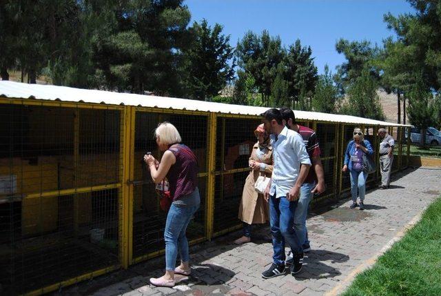 Büyükşehirden Ev Hayvanı Satıcılarına Eğitim Semineri