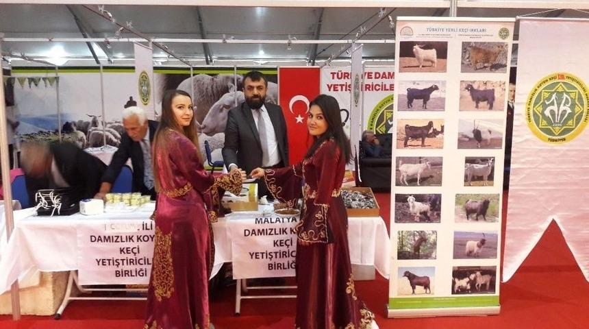 Akın, &Ccedil;obanlar Fuarını Değerlendirdi