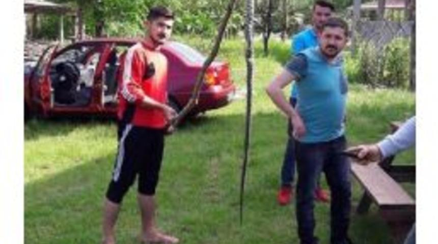 Ordu'da &Ouml;ld&uuml;r&uuml;len Yaklaşık 2 Metrelik Yılan Korkuttu