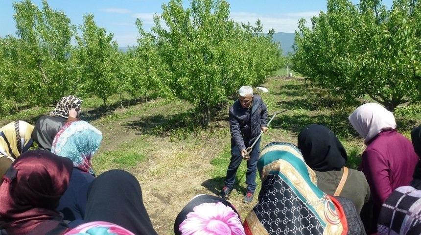 G&uuml;rsu&rsquo;da &ldquo;altın Makaslı Kadınlar&rdquo; Yetişiyor